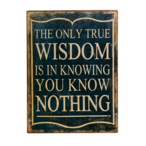 The Only True Wisdom...26x35cm Metal skilt